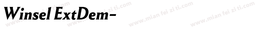 Winsel ExtDem字体转换